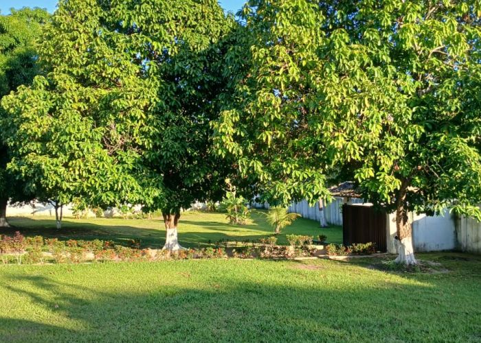 Foto da unidade Clínica de Recuperação em Feira de Santana - BA